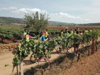 quarta tappa puglia slow tour