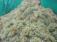 terza tappa puglia slow tour