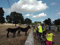 terza tappa puglia slow tour