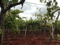 terza tappa puglia slow tour