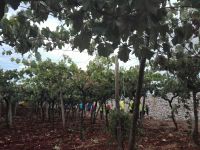 terza tappa puglia slow tour